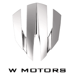 W Motors W Motors logo