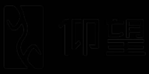 Yangwang Yangwang logo